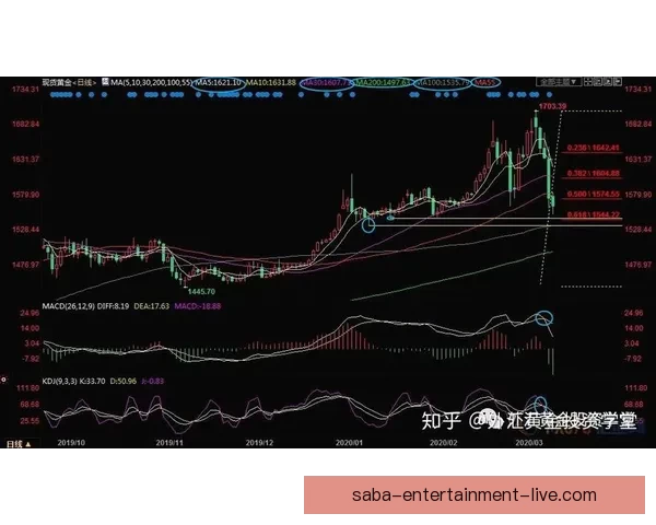 世界杯竞猜盘口分析与投注策略解读助你精准预测比赛走势