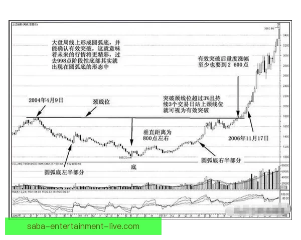 世界杯跟单策略全解析 玩转投注技巧提升收益 轻松把握赛事机会