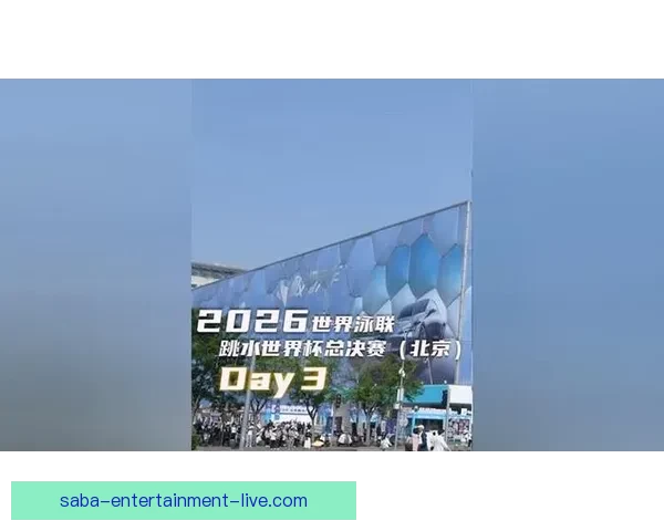 王宗源蒋林静荣膺2026跳水世界杯最佳男女运动员彰显顶尖实力